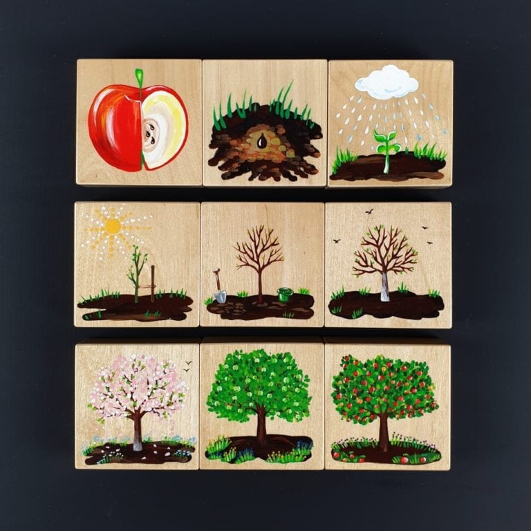 Picture-color wooden puzzle - From a seed to an apple tree