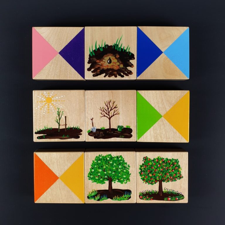 Picture-color wooden puzzle - From a seed to an apple tree