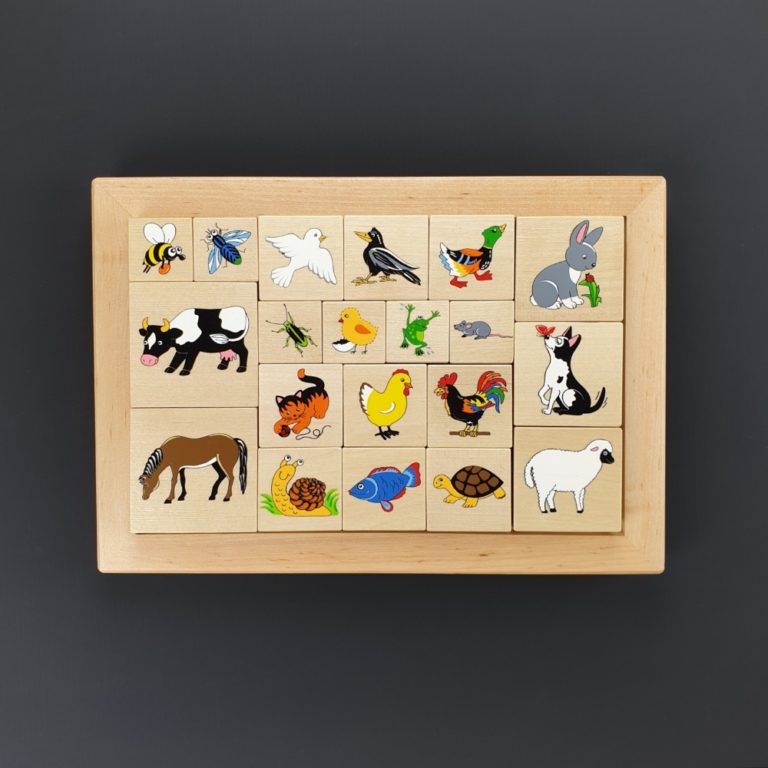 Jeu de puzzle de blocs en bois - Picture Color Blocks